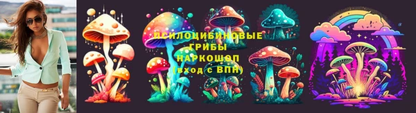 2c-b Надым