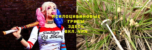 ешки Михайловск