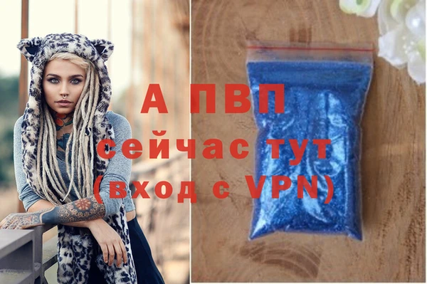 2c-b Надым