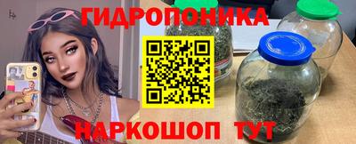 mdma Аргун