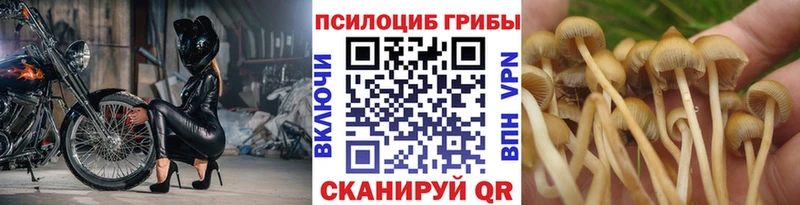 Галлюциногенные грибы GOLDEN TEACHER  blacksprut как зайти  Балашиха  как найти закладки 