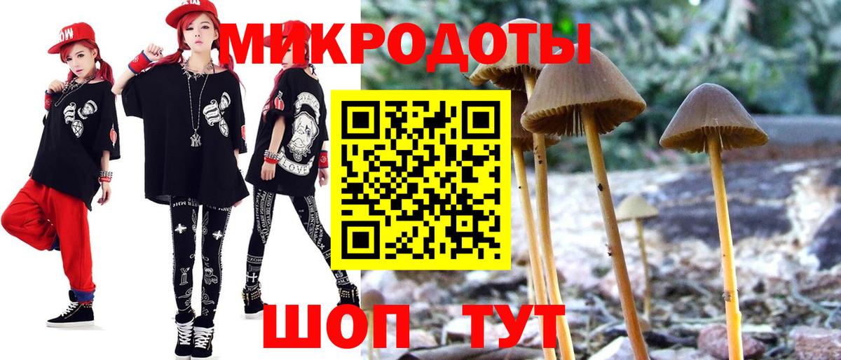 сколько стоит  Балашиха  Псилоцибиновые грибы мухоморы  Псилоцибиновые грибы Magic Shrooms 